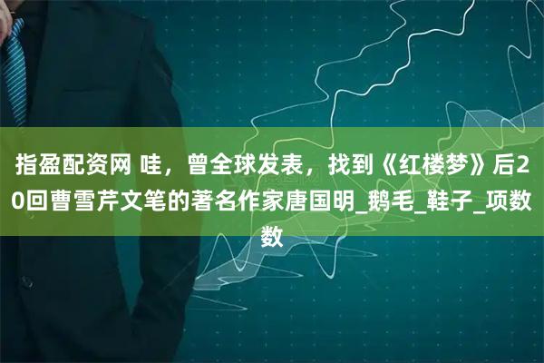 指盈配资网 哇，曾全球发表，找到《红楼梦》后20回曹雪芹文笔的著名作家唐国明_鹅毛_鞋子_项数
