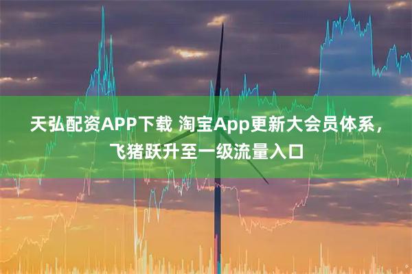 天弘配资APP下载 淘宝App更新大会员体系，飞猪跃升至一级流量入口