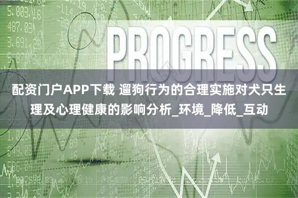 配资门户APP下载 遛狗行为的合理实施对犬只生理及心理健康的影响分析_环境_降低_互动