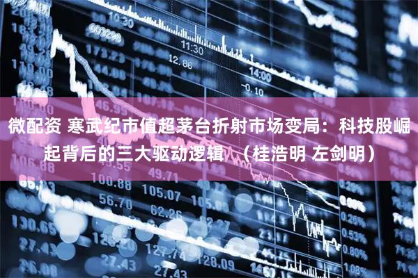 微配资 寒武纪市值超茅台折射市场变局：科技股崛起背后的三大驱动逻辑  （桂浩明 左剑明）