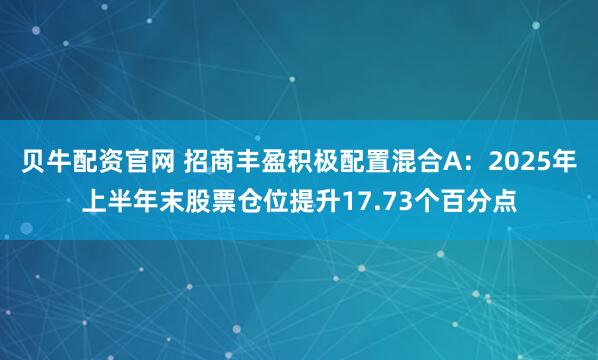 贝牛配资官网 招商丰盈积极配置混合A：2025年上半年末股票仓位提升17.73个百分点
