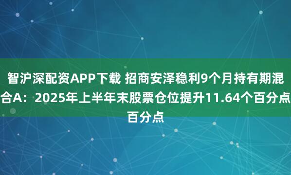 智沪深配资APP下载 招商安泽稳利9个月持有期混合A：2025年上半年末股票仓位提升11.64个百分点